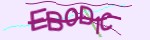 show_captcha